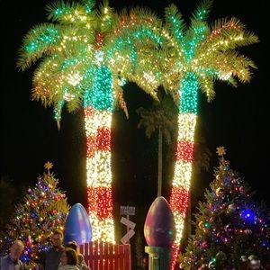 Meet your Posher, Maggie